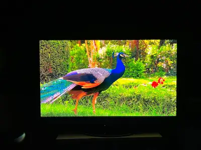 Panasonic TC-P50G25 50” Plasma, View more