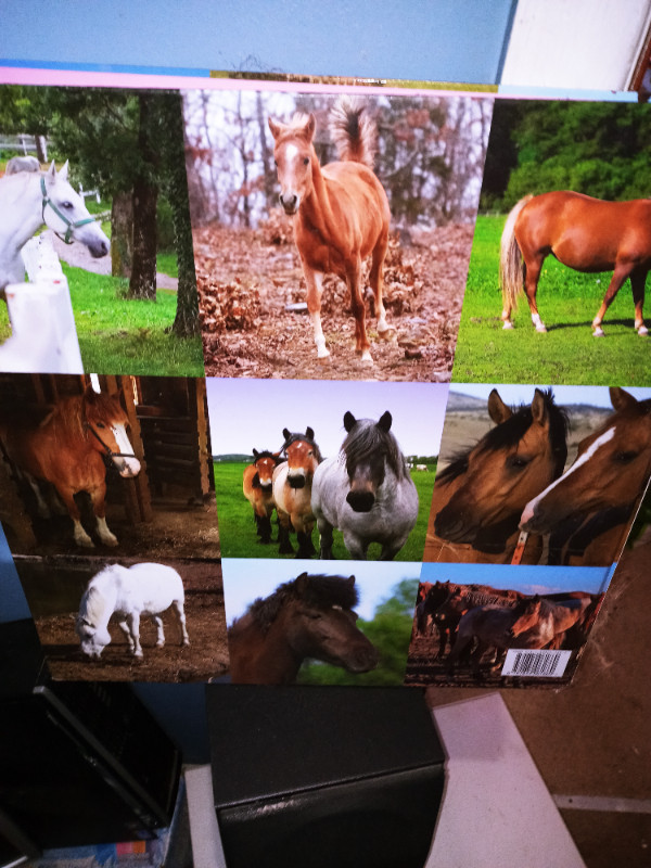 EXTREMELY LARGE HORSE BREEDS BOOK in Textbooks in Sarnia - Image 2