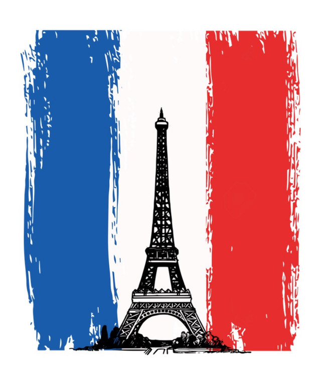 French Tutor from France - Online - Downtown-West End in Tutors & Languages in Downtown-West End