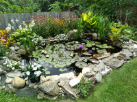 Garden Ponds by The Pond Guy
