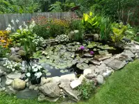 Garden Ponds by The Pond Guy