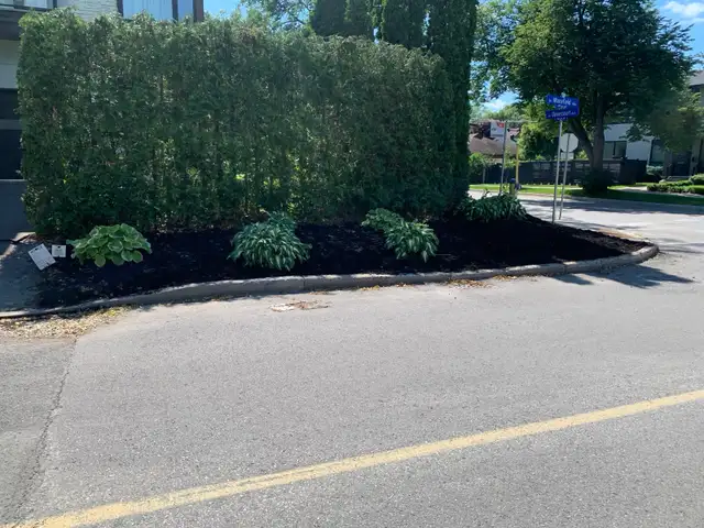 Yard work531649299282677769