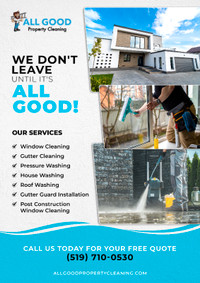 Window Cleaning/Pressure Washing/ Gutter Cleaning 519-710-0530