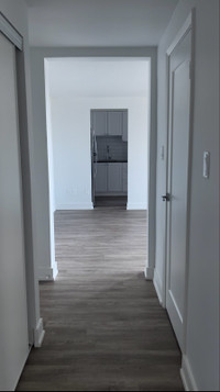 Renovated Bright Private One Bedroom Apartment - Apr to Aug