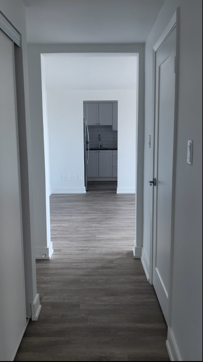 Renovated Bright Private One Bedroom Apartment - sublet to Sept