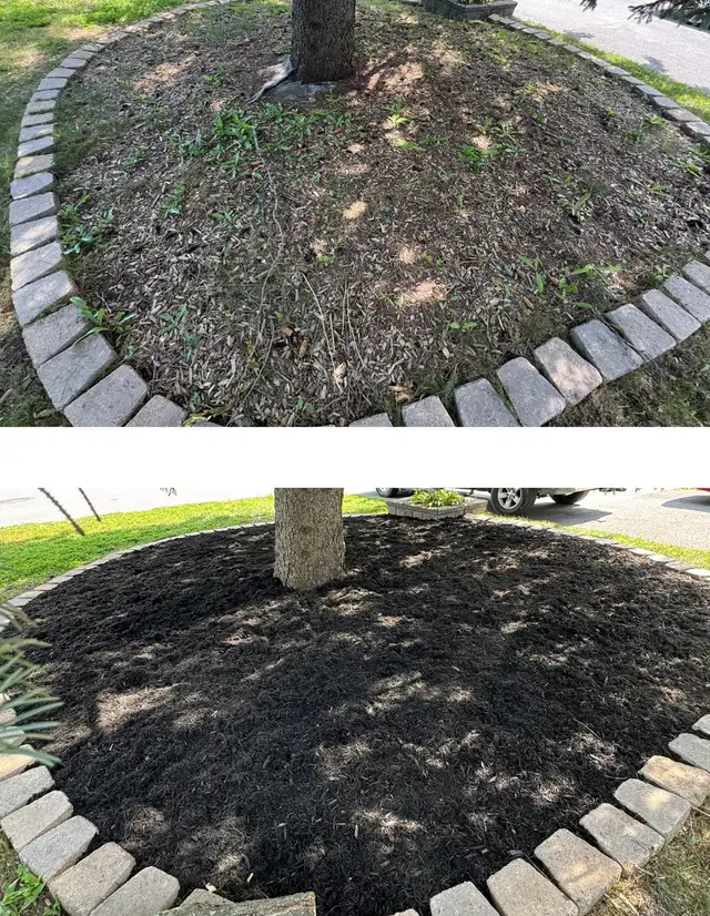 Landscaping & Hedge trimming in Lawn, Tree Maintenance & Eavestrough in Ottawa - Image 3