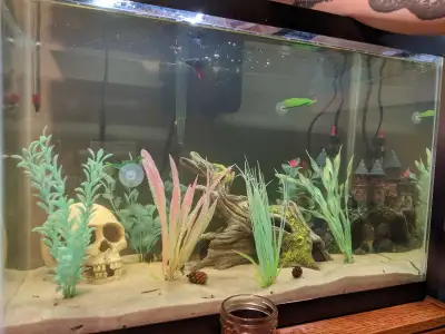 2 Aquariums & Accessories, View more