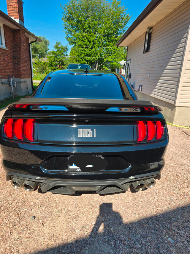 2023 Mach 1 in Cars & Trucks in Sudbury - Image 2