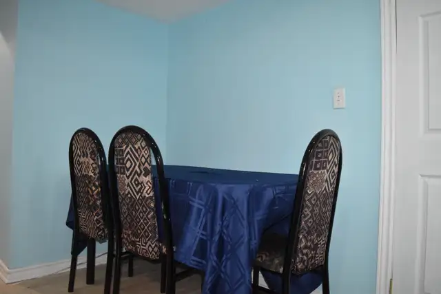 Looking for two female students in Room Rentals & Roommates in Oshawa / Durham Region - Image 10