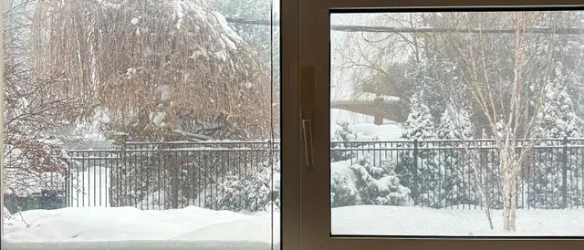 Best Deal! Really Spacious Entire One Bedroom Unit Rent