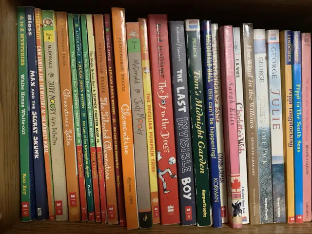 Children's Novels and Chapter Books, Over 100! in Children & Young Adult in Kingston - Image 3