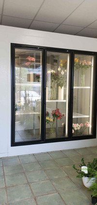 Walk-in flower cooler with 3 glass doors available. 416-858-8878