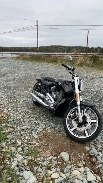 2011 Harley Vrod Muscle, perfect shape, new tires, wider then stock rear. Only 12,000kms new safety...