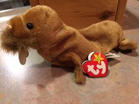 Ty Beanie Baby - Paul the Walrus -