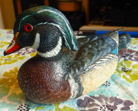 Drake Wood Duck Hand Carved Decoy 13"x 6 1/2"