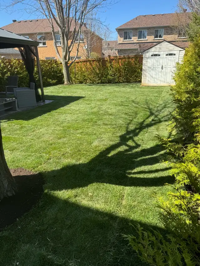SOD INSTALL - New Grass63008305257091122