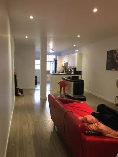 4 1/2 Plateau Mont Royal avec une cour arrière