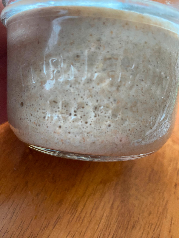 Sourdough starter, levain dans Santé et besoins spéciaux  à Longueuil/Rive Sud - Image 3