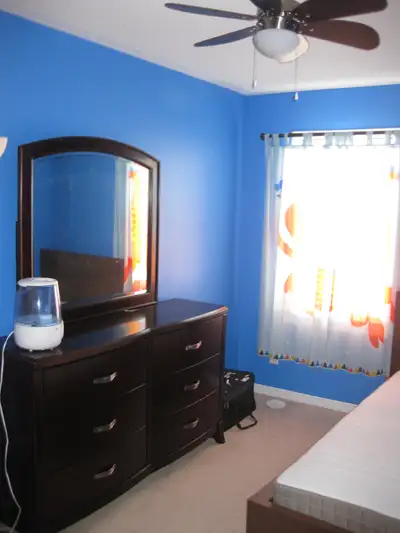 Room available for Rent in Townhouse including utilities and internet for vegetarian prospects Major...