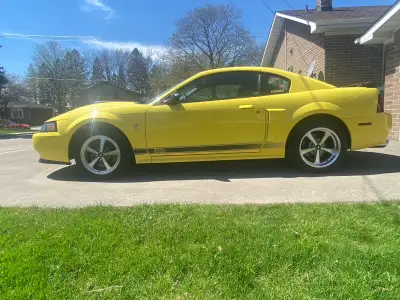 1002 Mustang Mach 1 has a cold air intake, has new tires last year 245 front 305 rear on AFS afterma...