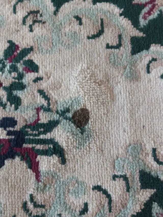 Very pretty Area rug 7.5 ft x 5.3 ft63234550707587121