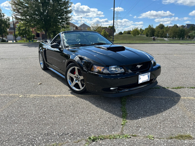 2003 Mustang GT Convertible in Cars & Trucks in Markham / York Region