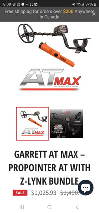 Garrett AT Max International with pinpointer 