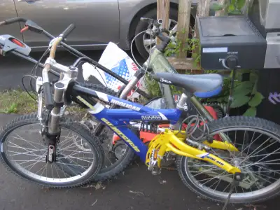 FS: Supercycle mountain bike, Miistery bike, cheap, bike carrier, View more