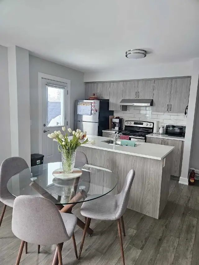 Renting my unit for Summer ONLY in Ontario in Canada - Image 8