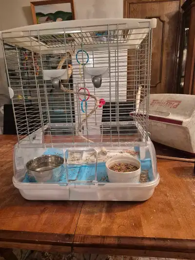 inseparable et cage, View more
