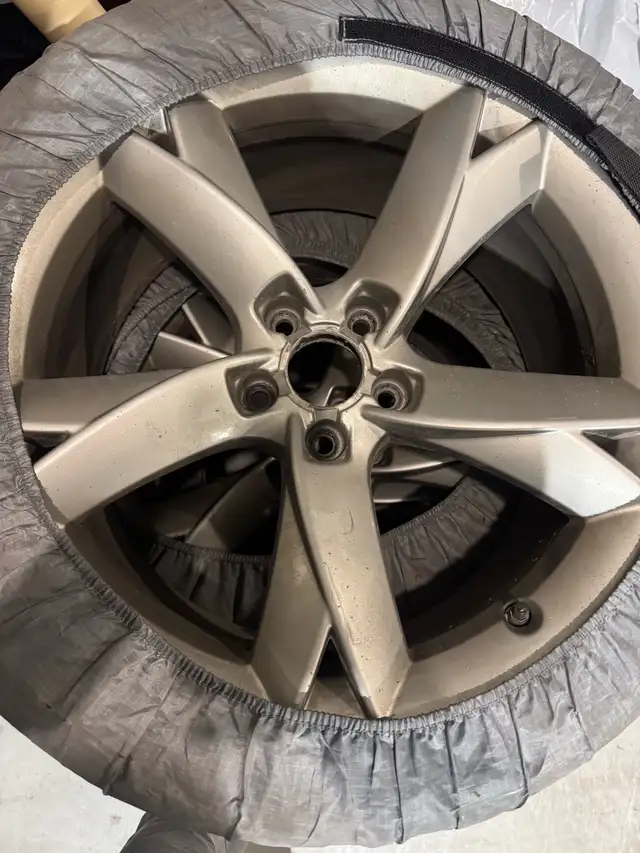 2010 Audi S4562911446775244807