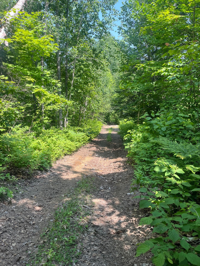 Waterfront lot Land for Sale Sudbury Kijiji