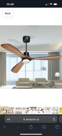 Obabala 60 '' Ceiling Fan with Light Remote Control