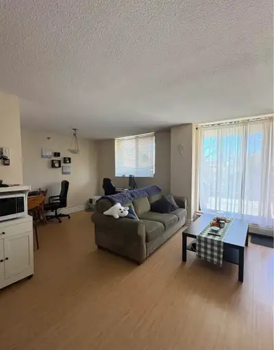 1 Bedroom lease take over, with option to renew! Located on Tower road close to universities and gro...
