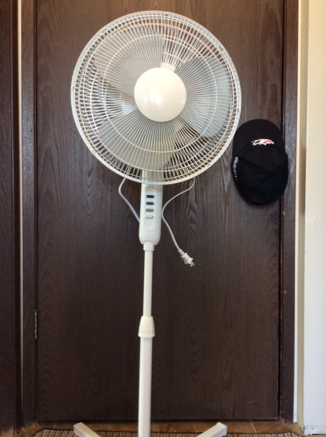 PEDESTAL FLOOR FAN539802478209945602