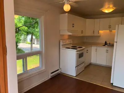 Carleton Place on Bridge Street close to the Town Hall clean and bright 1 bedroom apartment on the s...