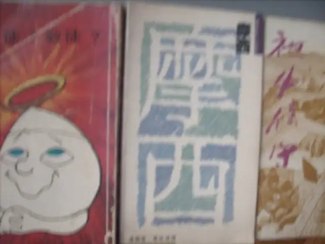 Chinese Christian books & lots more good items for sale  3279-96 in Non-fiction in City of Toronto - Image 9