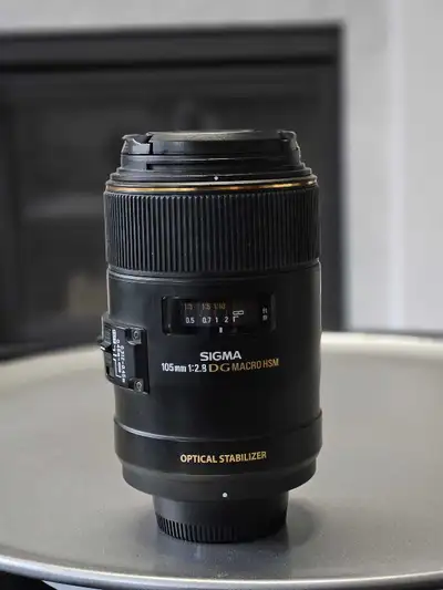 SIGMA 18-250mm F3.5-6.3 DC MACRO OS ズーム Análisis Canon PowerShot SX170 IS