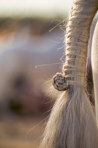 From Braiding to Farm Sitting