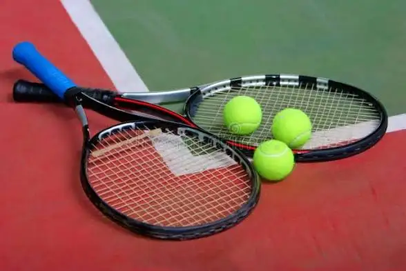 Tennis Hitting Partner NTRP 4.5597335412866426881