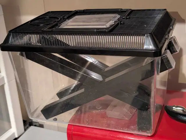 Reptile Transparent Cricket Keeper in Accessories in Saskatoon - Image 2