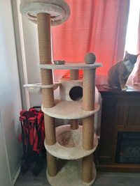CAT TREE  Great condition