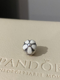 Pandora jewelry (read description for prices)