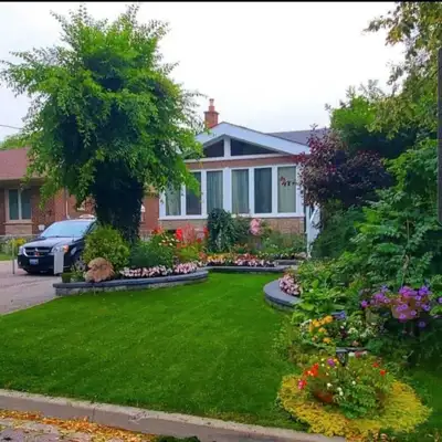 Spacious 2 bedroom Basement Apartment - Utilities included