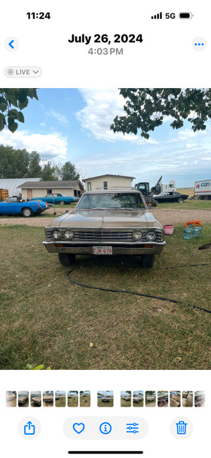 1967 Chevrolet Chevelle
