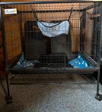 Cage for  Small Animals