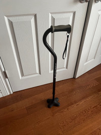 Airgo stand up cane