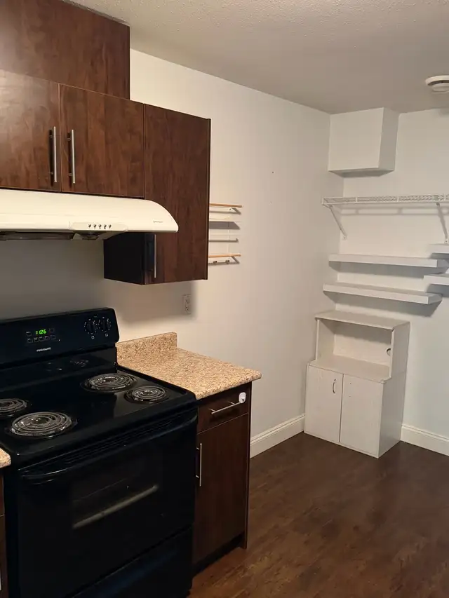 2 bedroom basement suite  in Long Term Rentals in Delta/Surrey/Langley - Image 4
