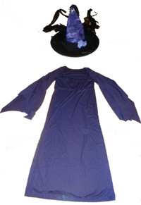 Adult Witch Costume Dress & Hat - $24