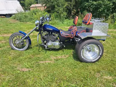 Both the bike and the trailer were imported from Florida so they are both in great shape. The bike i...